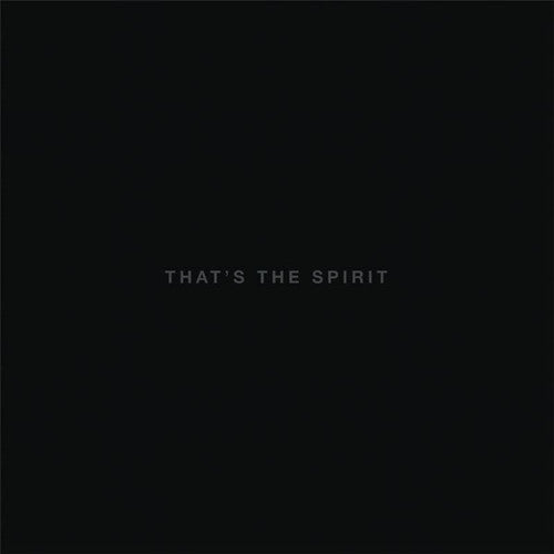 Bring Me the Horizon - That's The Spirit - LP { Vinyl LP }