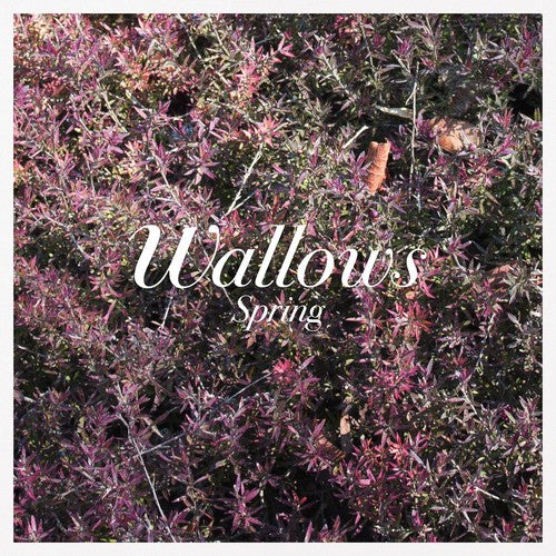 Wallows - Spring - 12" EP { Vinyl LP }