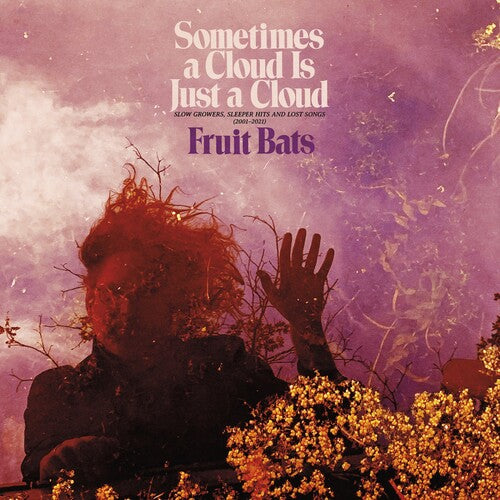 Fruit Bats - Sometimes a Cloud Is Just a Cloud: Slow Growers, Sleeper Hits and Lost Songs - LP { Vinyl LP }