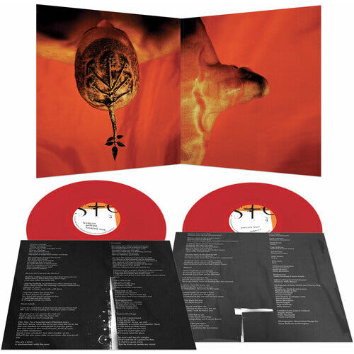 Steve Walsh - Glossolalia - LP { Vinyl LP }