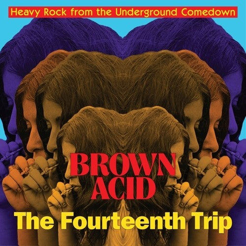 Various Artists - Brown Acid: The Fourteenth Trip - LP { Vinyl LP }