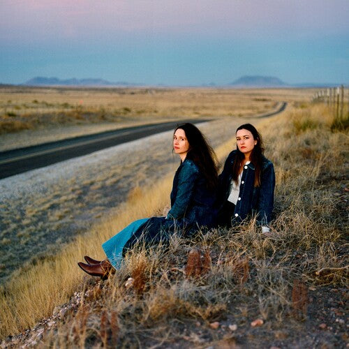 The Plains - I Walked With You A Ways - Indie LP { Vinyl LP }