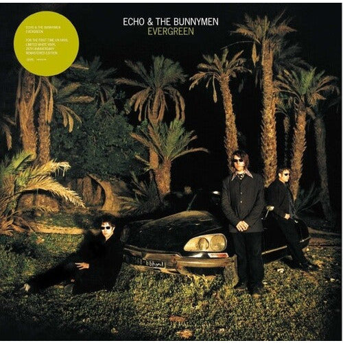Echo & the Bunnymen - Evergreen - LP { Vinyl LP }