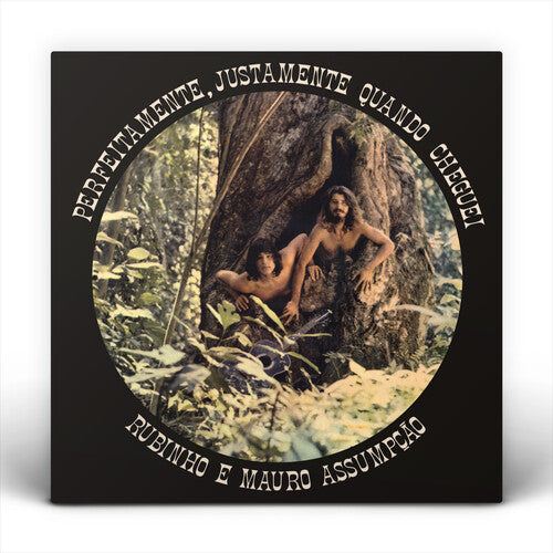 Rubinho e Mauro Assumpcao - Perfeitamente, Justamente Quando Cheguei - LP { Vinyl LP }