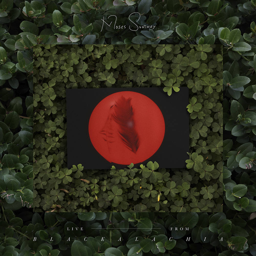 Moses Sumney - Live From Blackalachia - LP { Vinyl LP }