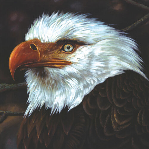Mogwai - The Hawk Is Howling - LP { Vinyl LP }