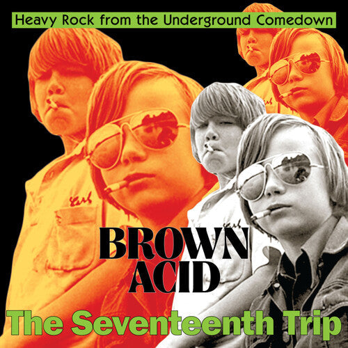 Various Artists - Brown Acid: The Seventeenth Trip - LP { Vinyl LP }