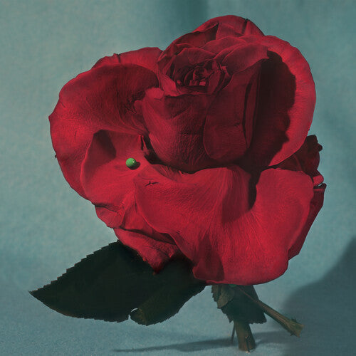 METZ - Up on Gravity Hill - LP { Vinyl LP }