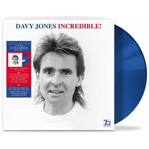 Davy Jones - Incredible! - LP { Vinyl LP }