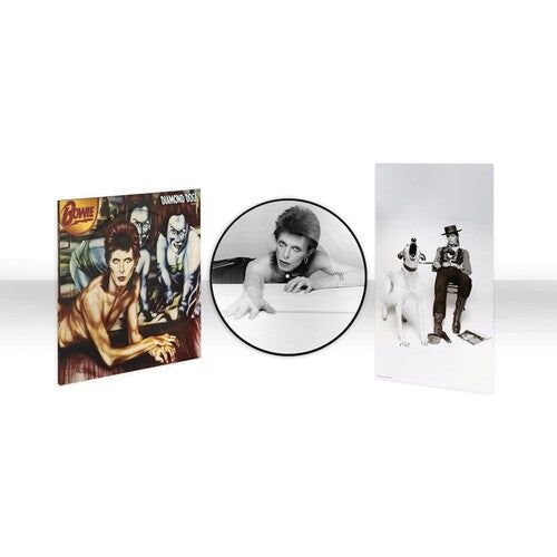 David Bowie - Diamond Dogs (50th Anniversary) - Picture Disc LP { Vinyl LP }