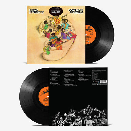 Sound Experience - Don't Fight the Feeling - LP { Vinyl LP }