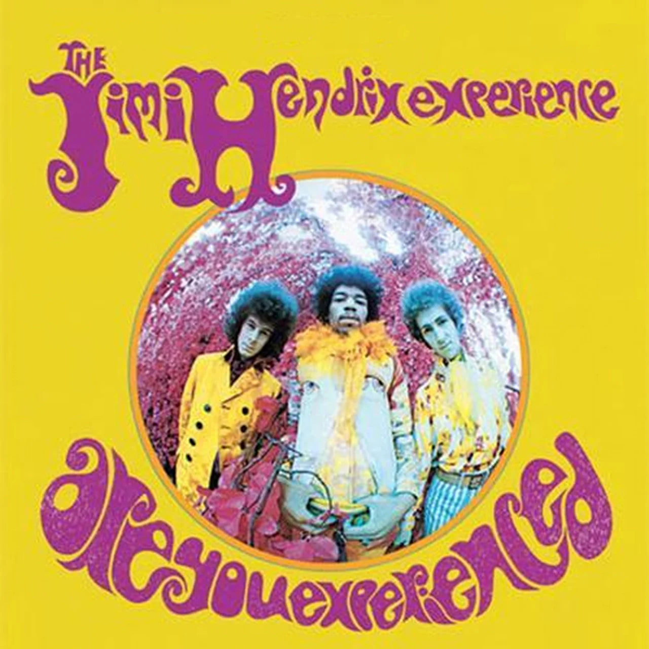 The Jimi Hendrix Experience - Are You Experienced? - Analogue Productions SACD { Vinyl LP }