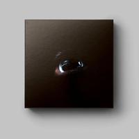 Roger Waters - The Dark Side of the Moon Redux - Box Set { Vinyl LP }