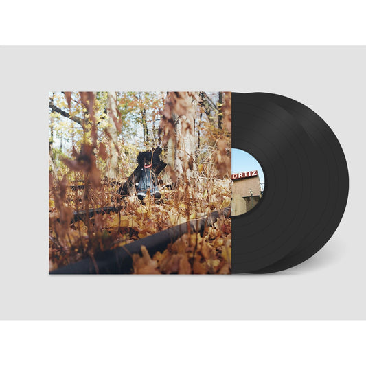 billy woods - GOLLIWOG - LP { Vinyl LP }