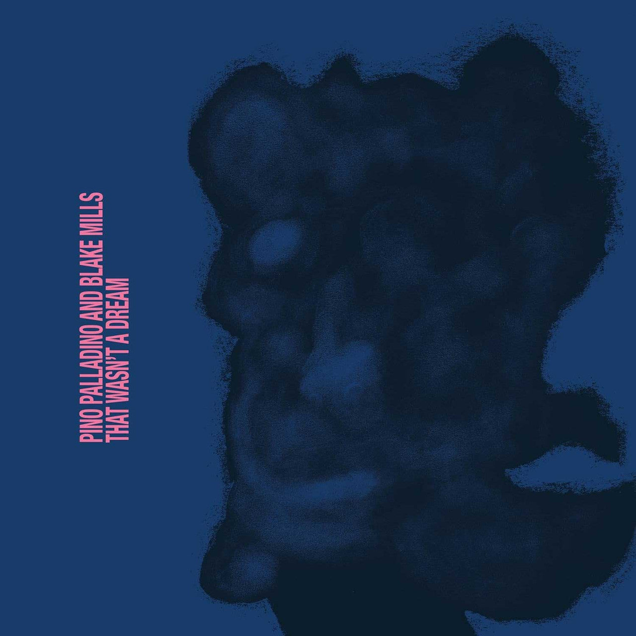 Pino Palladino & Blake Mills - That Wasn't a Dream - LP { Vinyl LP }