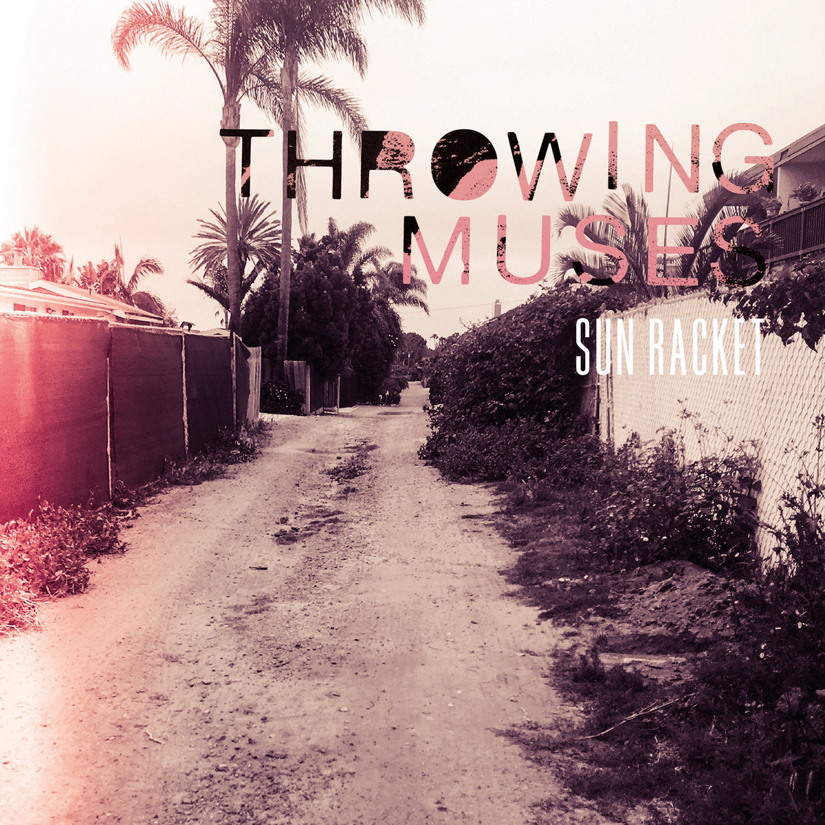 Throwing Muses - Sun Racket - LP { Vinyl LP }
