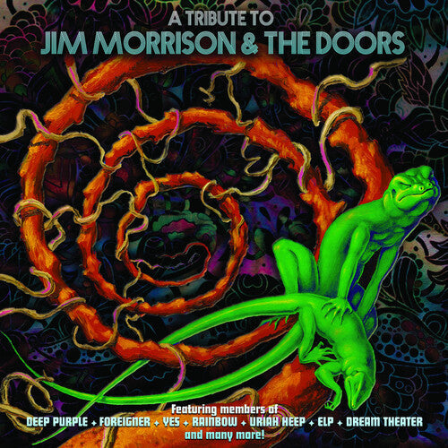Various Artists - A Tribute To Jim Morrison & The Doors - LP { Vinyl LP }