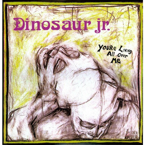 Dinosaur Jr. - You're Living All Over Me - LP { Vinyl LP }