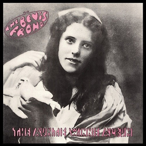 The Bevis Frond - Auntie Winnie Album - LP { Vinyl LP }