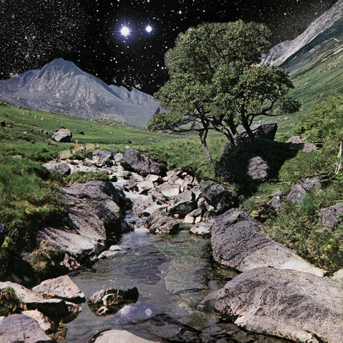 The Beta Band - The Beta Band - LP { Vinyl LP }
