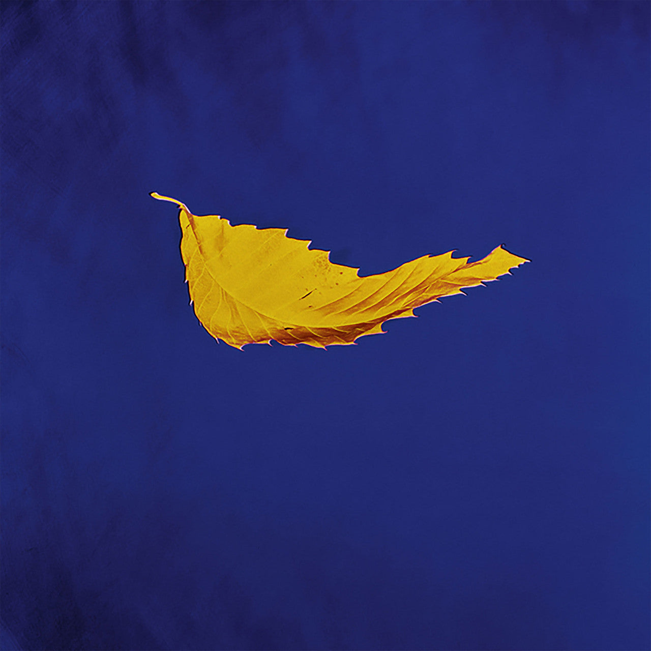 New Order - True Faith - 12" Single { Vinyl LP }