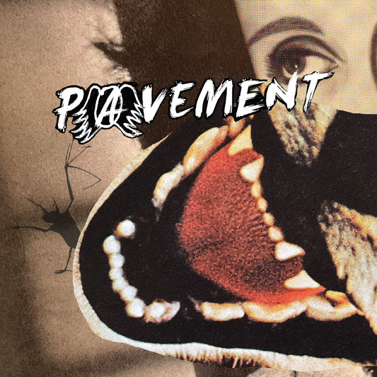 Pavement - Hecklers Choice: Big Gums and Heavy Lifters - A Pavement Collection - LP { Vinyl LP }