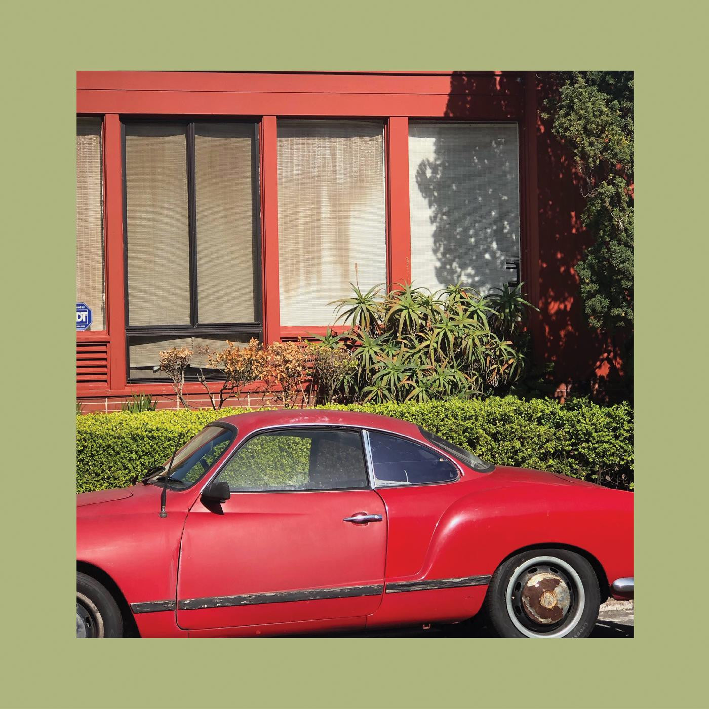 The Reds, Pinks and Purples - The Town That Cursed Your Name - LP { Vinyl LP }