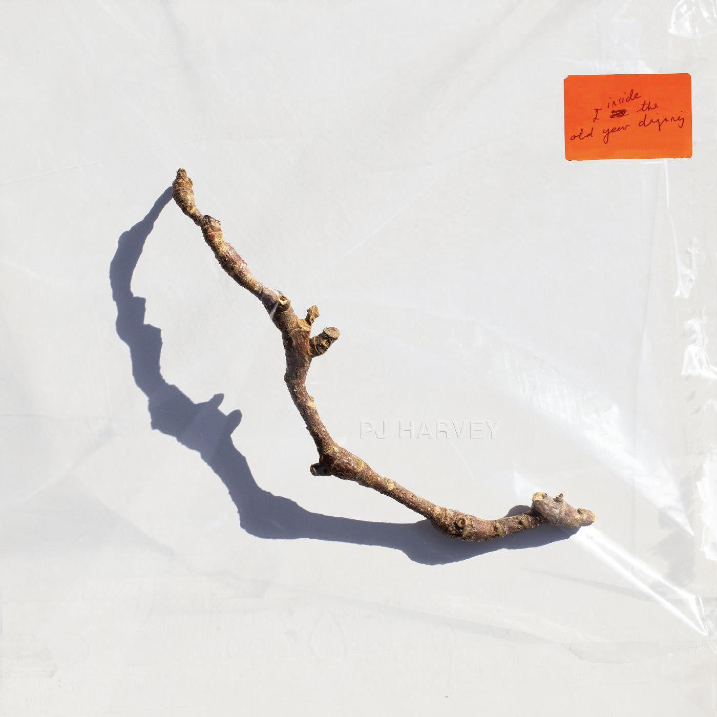 PJ Harvey - I Inside the Old Year Dying - LP { Vinyl LP }
