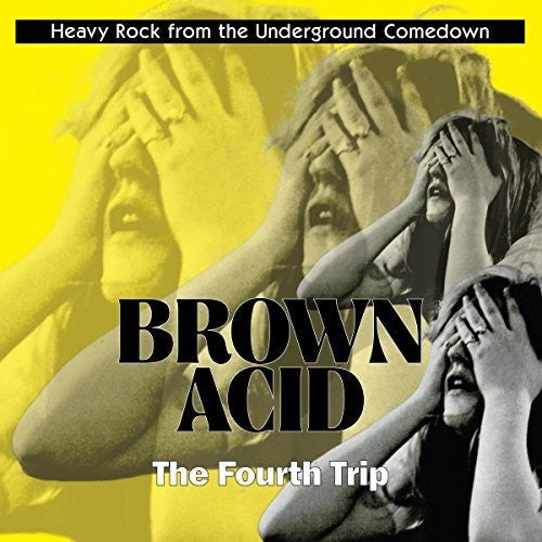 Various Artists - Brown Acid: The Fourth Trip - LP { Vinyl LP }