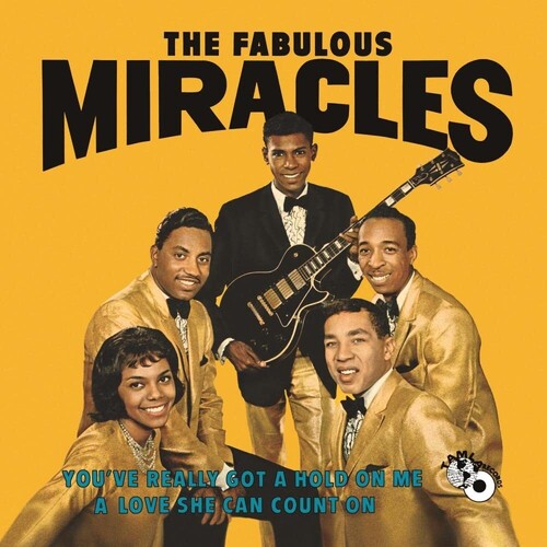 The Miracles - You've Really Got A Hold On Me - LP { Vinyl LP }