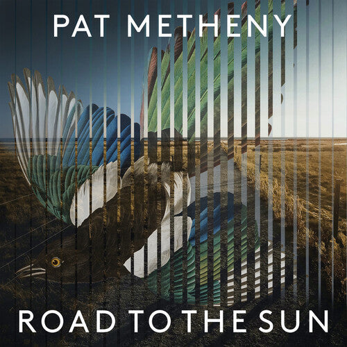 Pat Metheny - Road To The Sun - LP { Vinyl LP }