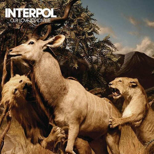 Interpol - Our Love To Admire - LP { Vinyl LP }