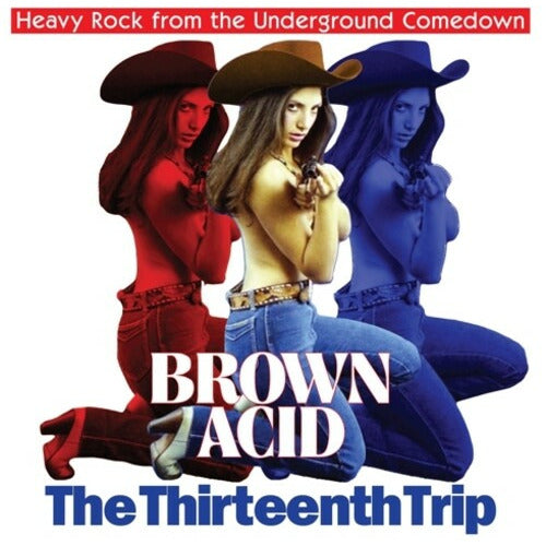 Various Artists - Brown Acid - The Thirteenth Trip - LP { Vinyl LP }