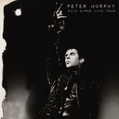 Peter Murphy - Wild Birds Live Tour - LP { Vinyl LP }