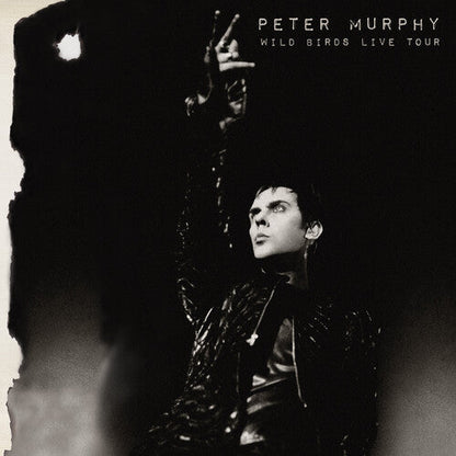 Peter Murphy - Wild Birds Live Tour - LP { Vinyl LP }