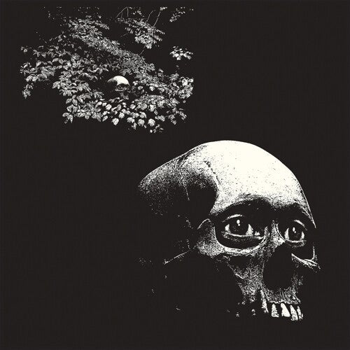 Osees - A Foul Form - LP { Vinyl LP }
