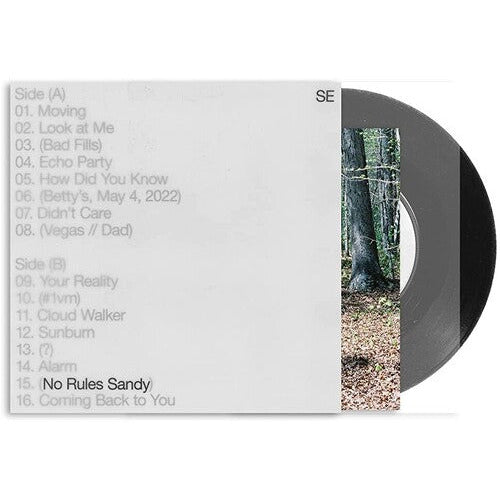 Sylvan Esso - No Rules Sandy - LP { Vinyl LP }