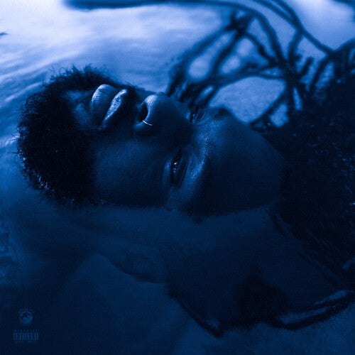 Rexx Life Raj - The Blue Hour - LP { Vinyl LP }