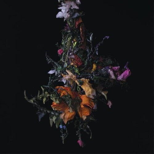 BIG/BRAVE - Nature Morte - LP { Vinyl LP }