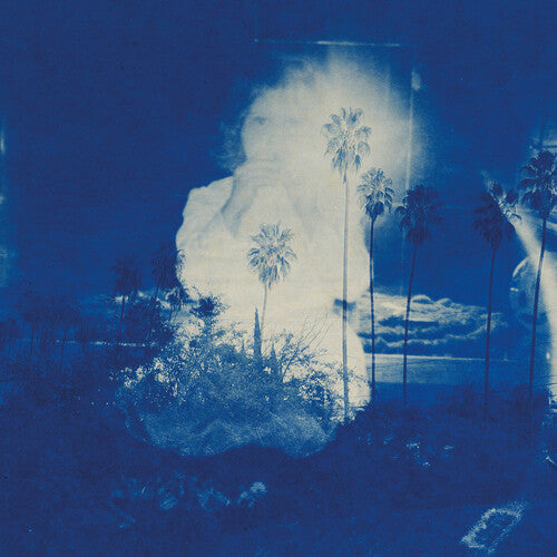 Fruit Bats -  A River Running to Your Heart - LP { Vinyl LP }