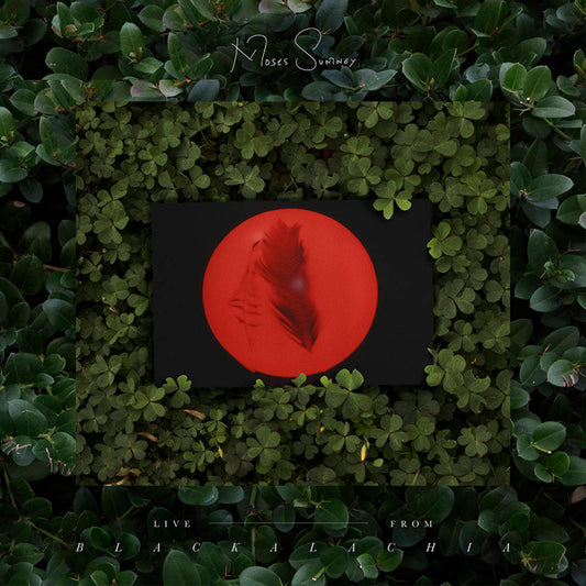 Moses Sumney - Live From Blackalachia - LP { Vinyl LP }