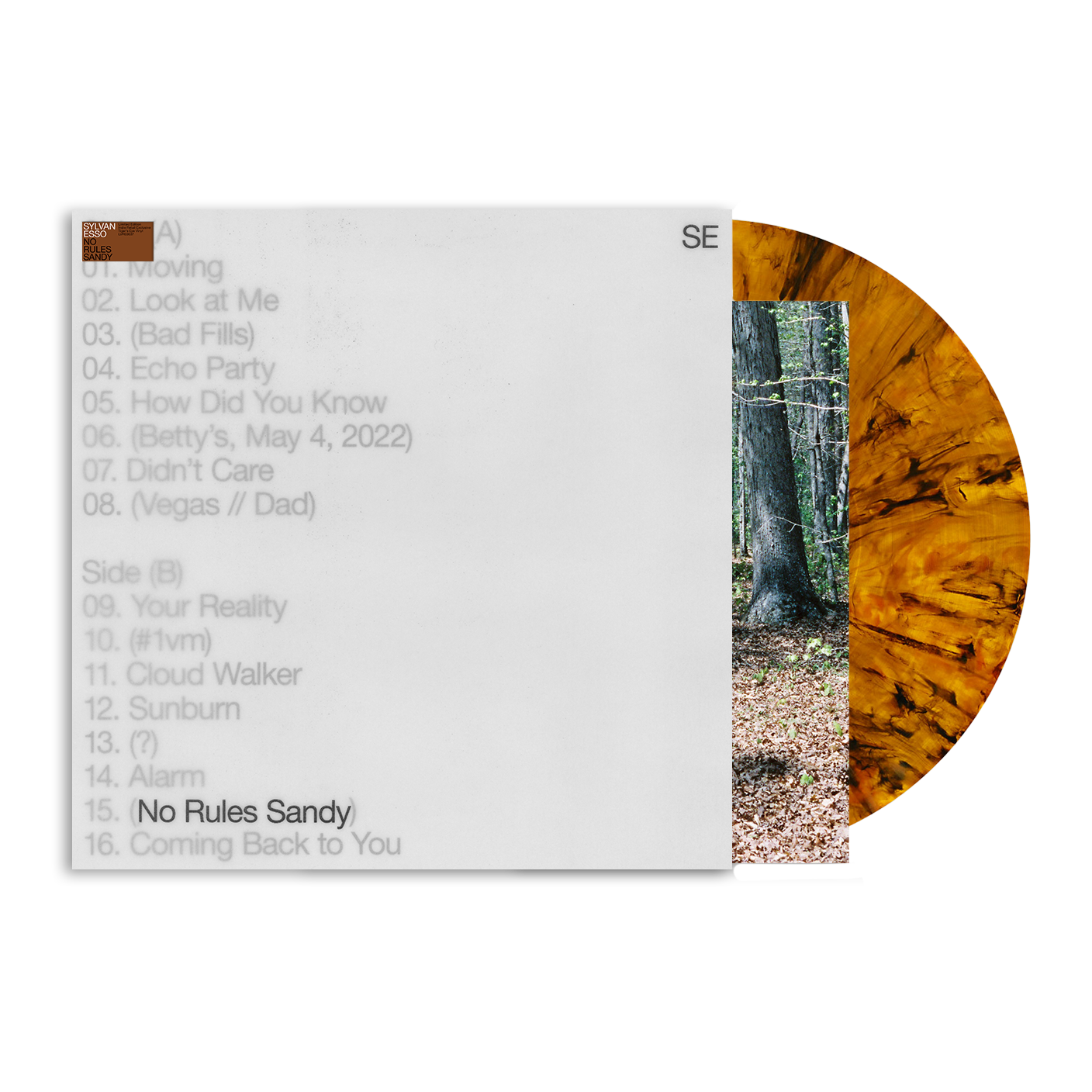 Sylvan Esso - No Rules Sandy - Indie LP { Vinyl LP }