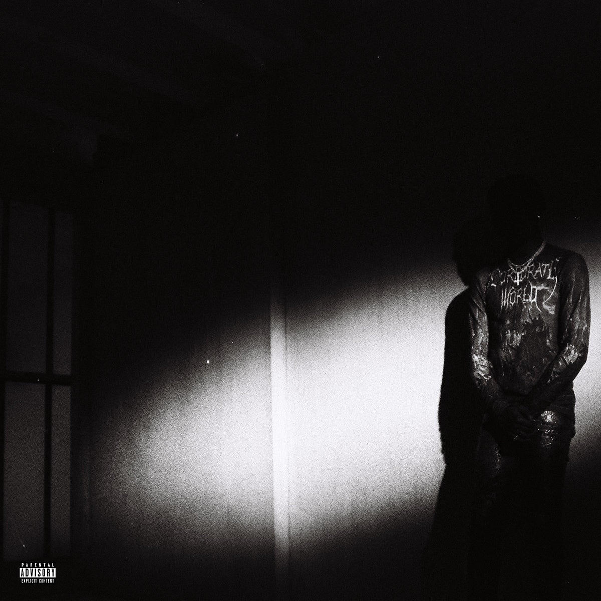 Destroy Lonely - No Stylist - LP { Vinyl LP }
