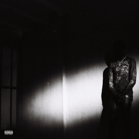 Destroy Lonely - No Stylist - LP { Vinyl LP }