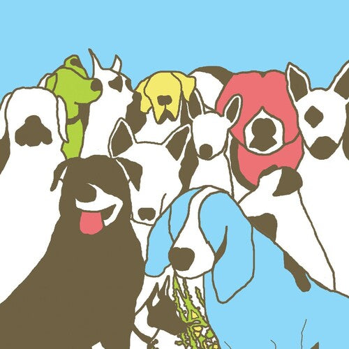 The Format - Dog Problems - LP { Vinyl LP }