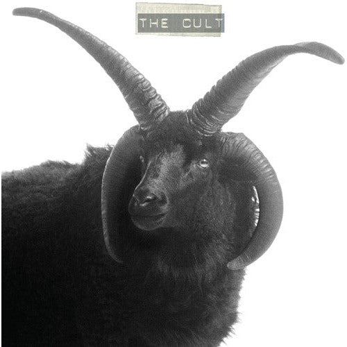 The Cult - The Cult - LP { Vinyl LP }