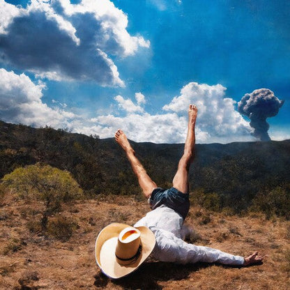 Geese - 3D Country - LP { Vinyl LP }