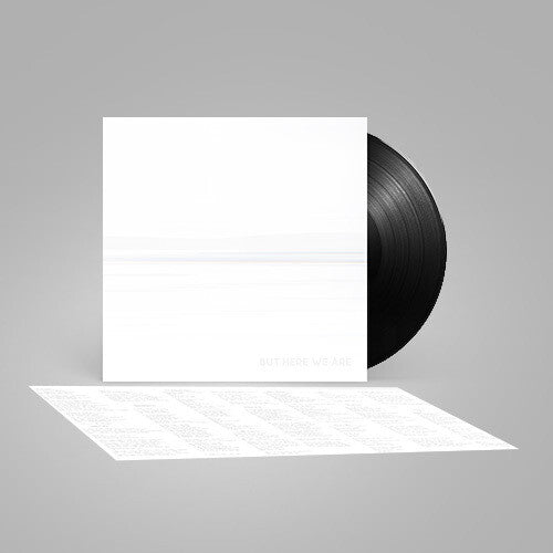 Foo Fighters -  But Here We Are - LP { Vinyl LP }