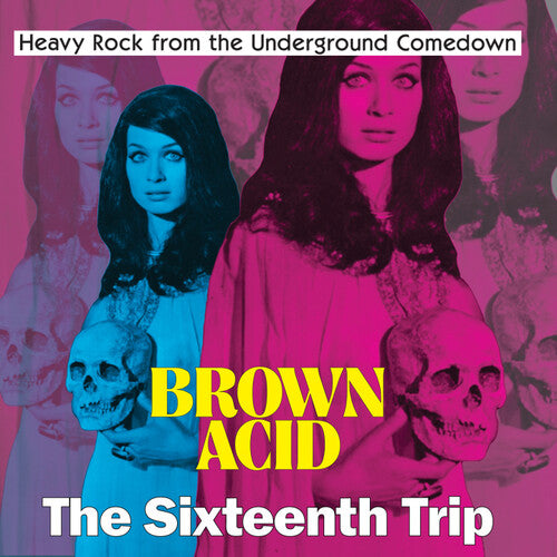 Various Artists - Brown Acid: The Sixteenth Trip - LP { Vinyl LP }