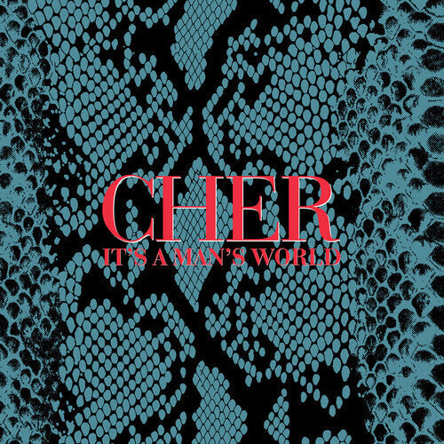Cher - It's a Man's World - LP { Vinyl LP }